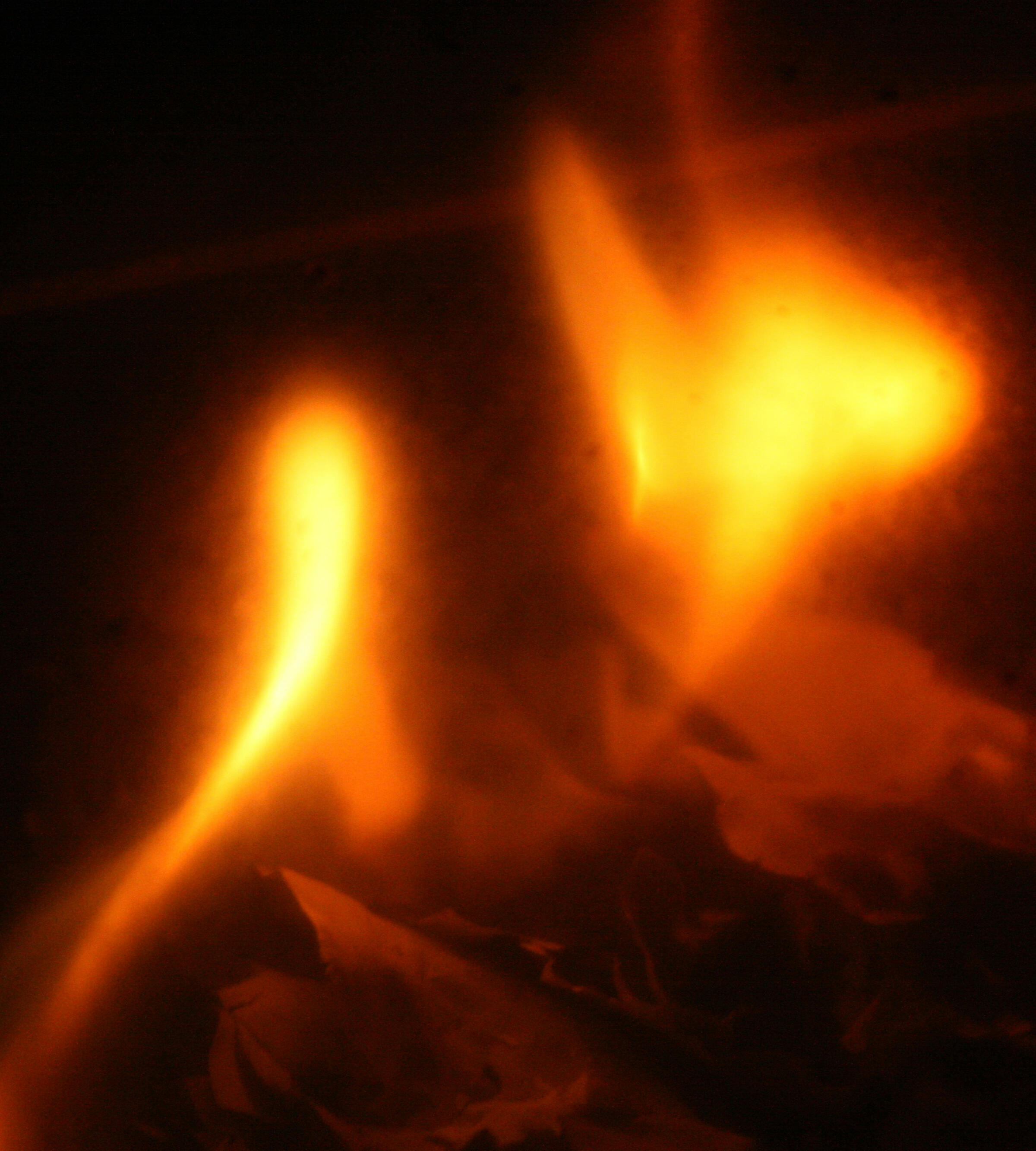 Molly Toomey mental health therapy counseling Connecticut Molly Toomey mental health therapy counseling Connecticut