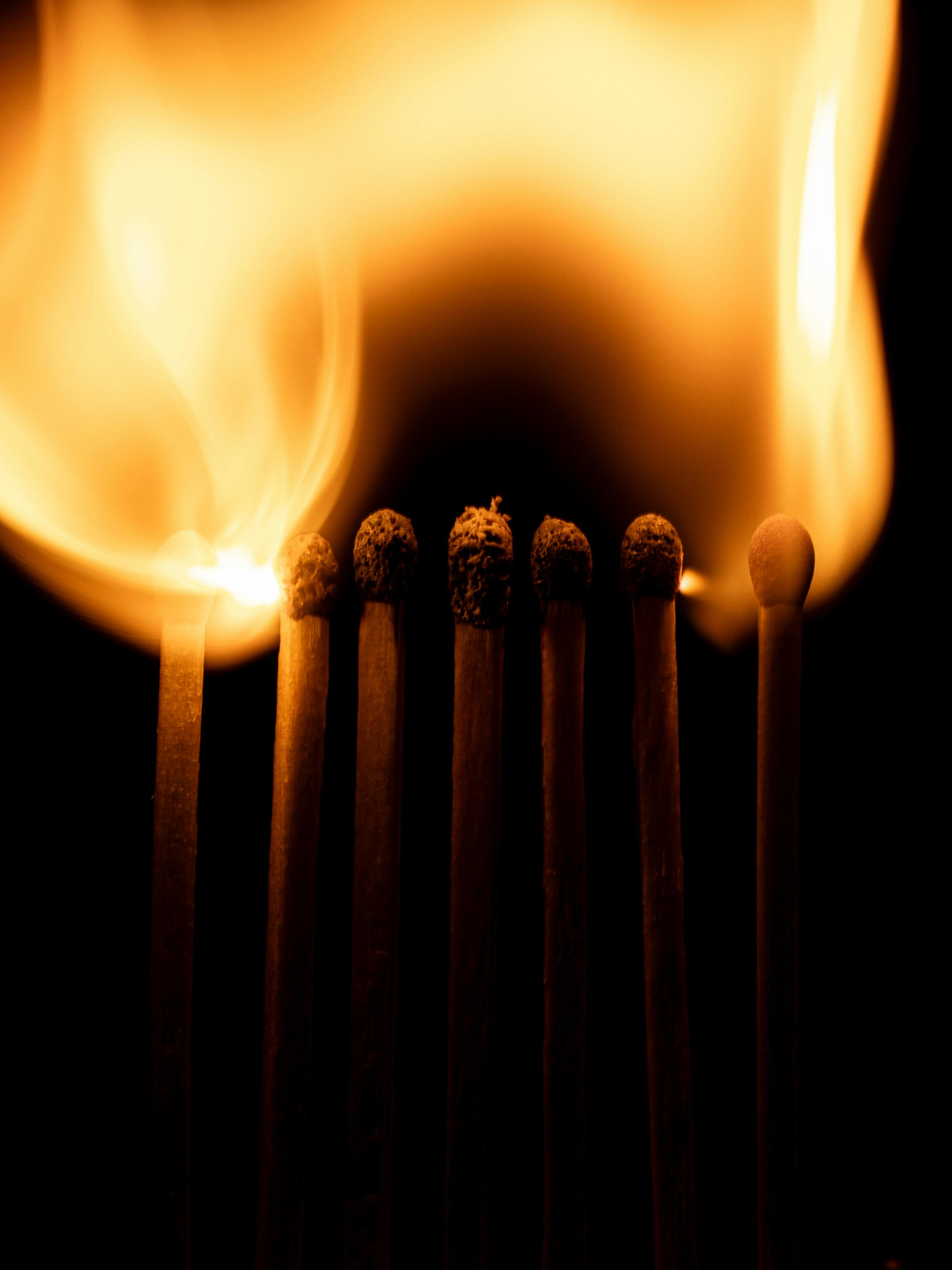 Molly Toomey mental health therapy counseling Connecticut Molly Toomey mental health therapy counseling Connecticut